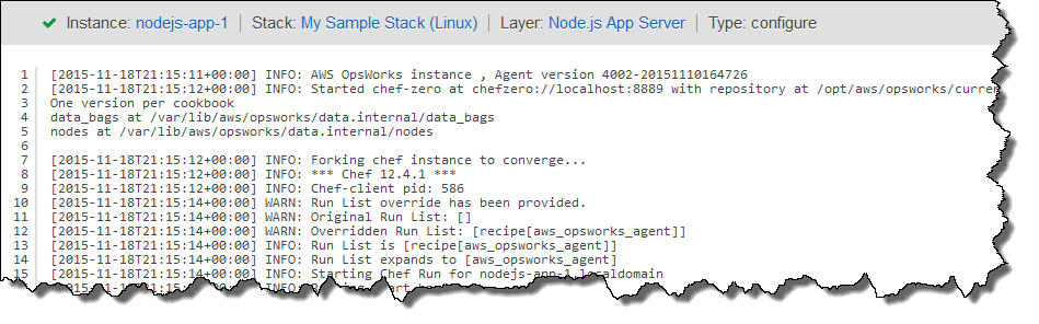 Log output showing AWS OpsWorks instance startup and chef-client initialization process.