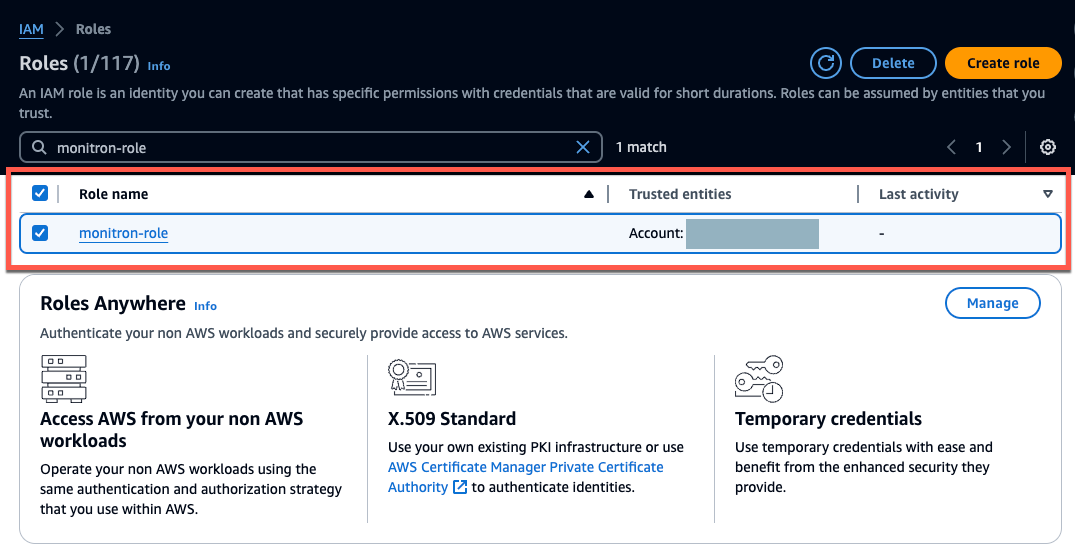 IAM roles list with one role named monitron-role and its trusted entity. (AI generated)