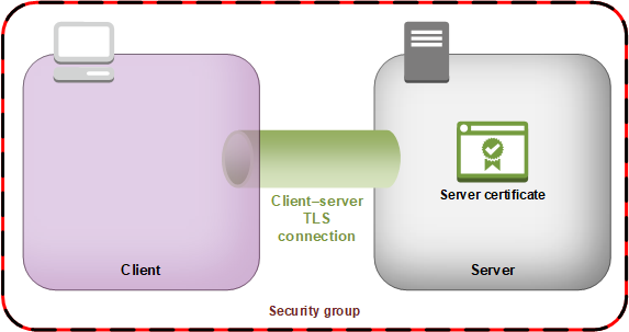 
          クライアントとサーバー間の TLS 接続。
        