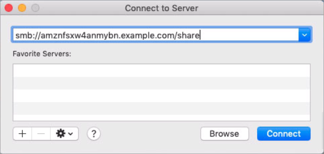 
                      ファイルシステムペインの DNS および共有名を示す Mac 接続のスクリーンショット。
                    