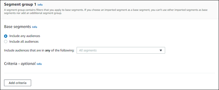 Include any audiences を示すセグメントグループ 1 のセクションです。