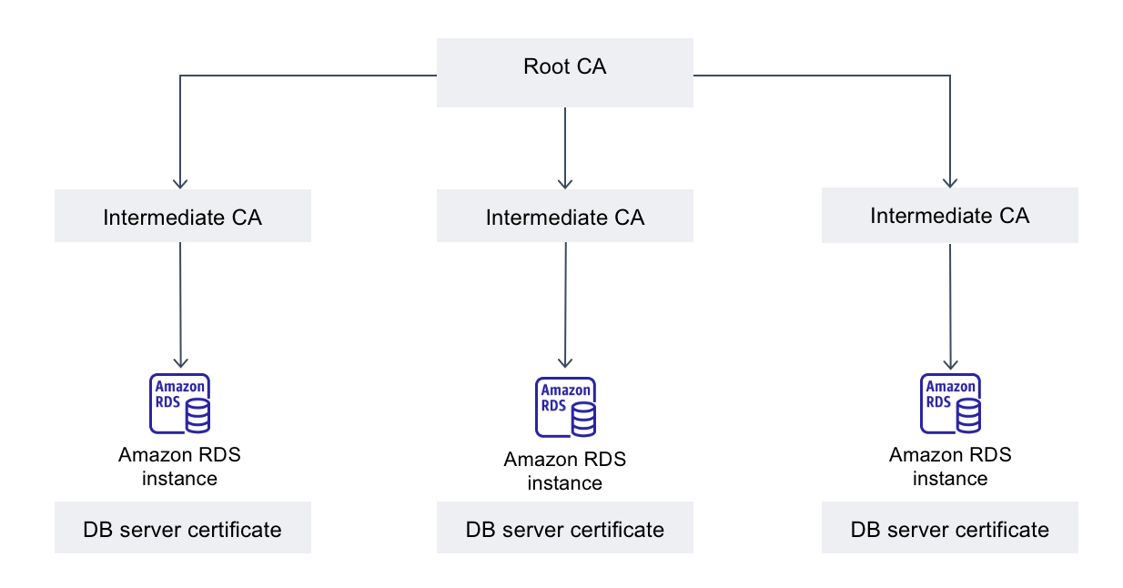SSL/TLS를 사용하여 DB 인스턴스 또는 클러스터에 대한 연결 암호화 Amazon Relational Database