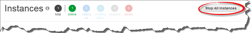 Instances section showing 1 total instance online, with "Stop All Instances" button highlighted.