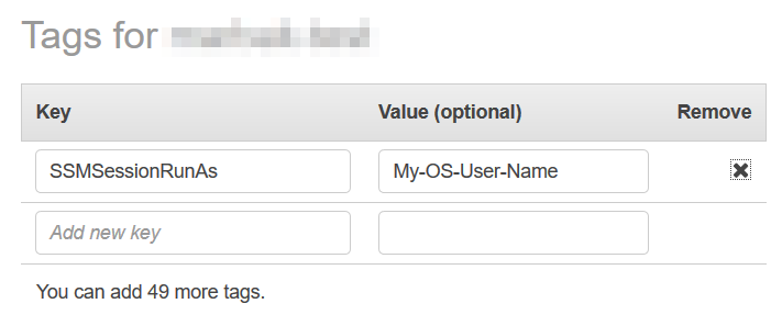 
                                        Session Manager Run As 권한을 위한 태그를 지정하는 스크린샷. 키 = SSMSessionRunAs, 값=내 OS 사용자 이름
                                    