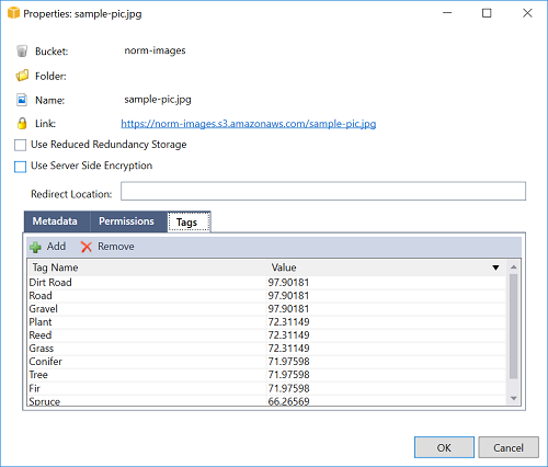 Properties window showing metadata tags and values for an image file. (AI generated)