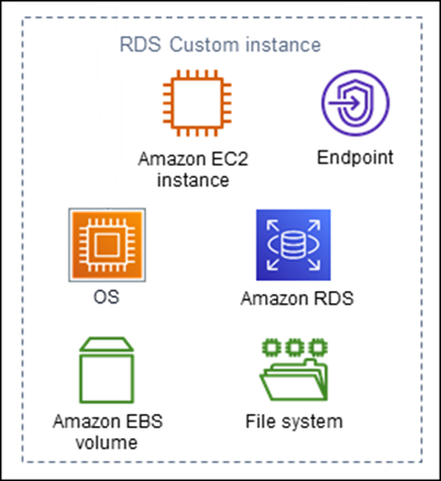 
                Componentes de uma instância de banco de dados do RDS Custom
            