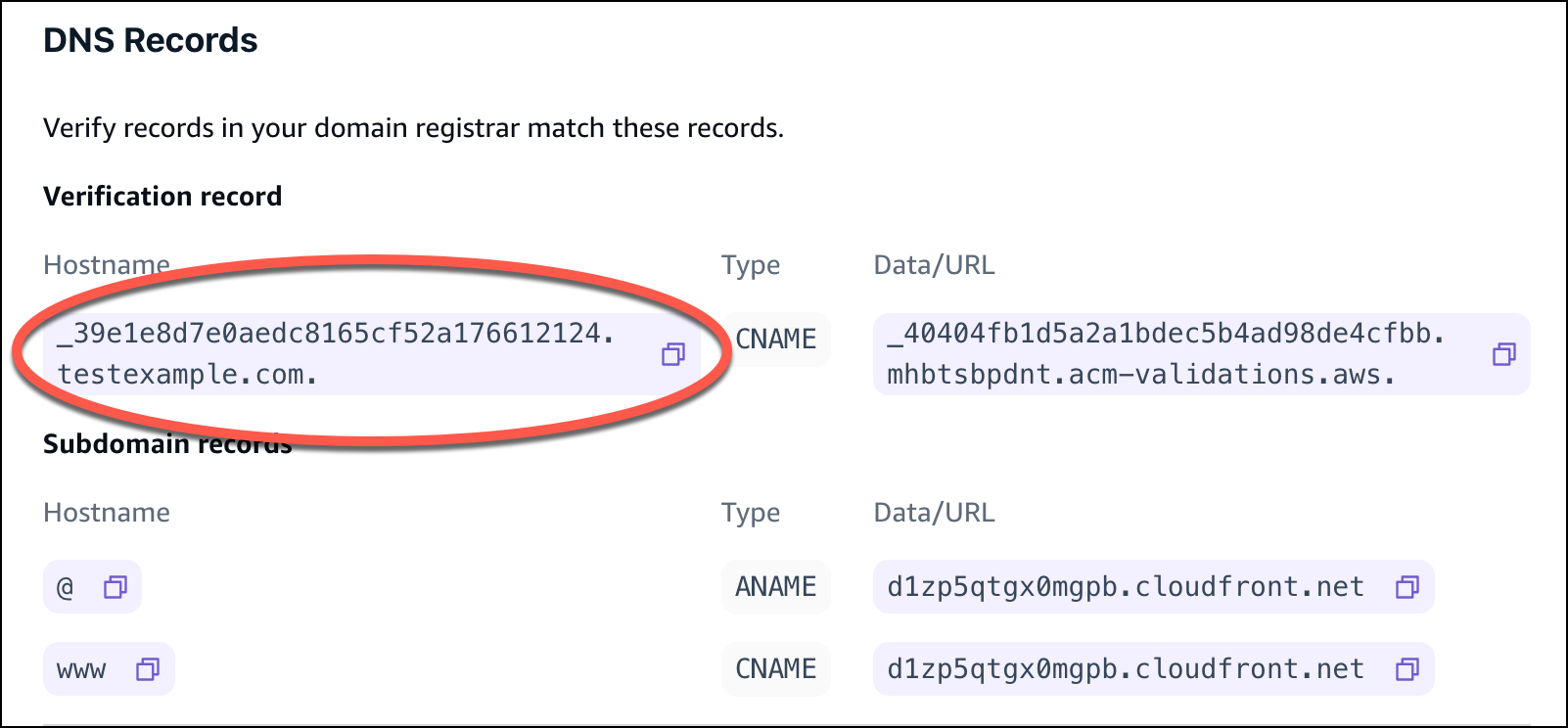 A seção de registros DNS no console do Amplify com o registro de verificação do nome do host circulado.