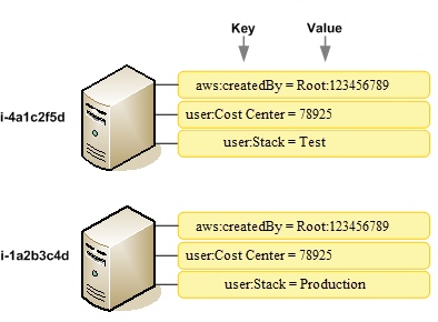 
            Exemplo de chaves de tag para duas instâncias do Amazon EC2.
        