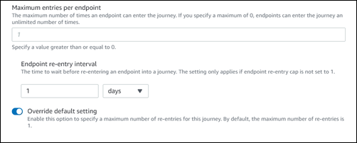 
                            Um exemplo mostrando a caixa de texto do número máximo de entradas por valor de endpoint, o intervalo de reentrada do endpoint e como substituí-lo.
                        