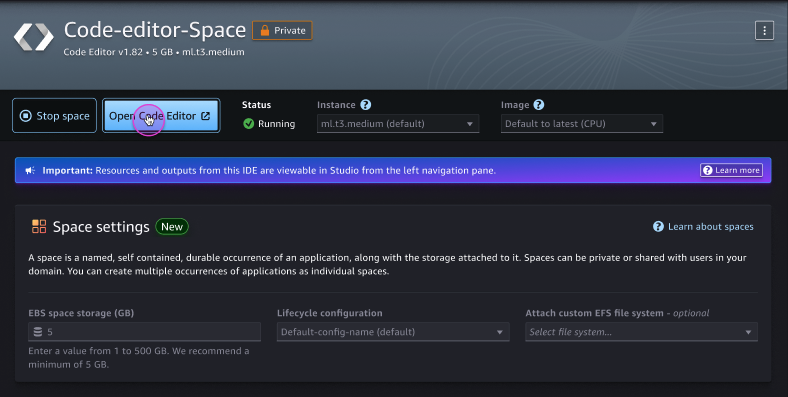 A página de detalhes do espaço para um aplicativo de editor de código na interface do usuário do Studio.