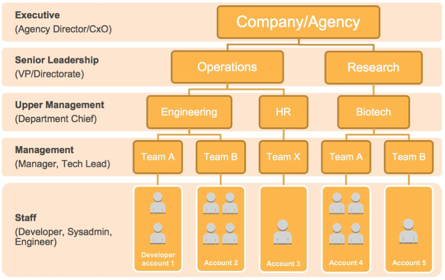 Amazon Hierarchy Chart In 2022 Hierarchy Agile Projec - vrogue.co