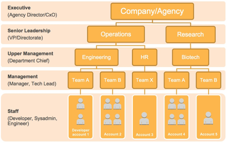 Amazon Hierarchy Chart