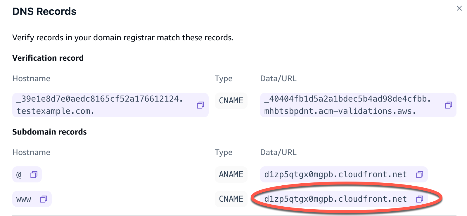 Amplify 控制台中 DNS 记录的屏幕截图，域名记录已圈出。