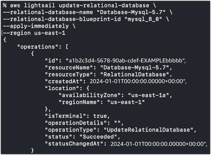 在窗口中执行 update-relational-database--apply-immedlity 命令的成功结果。 CloudShell