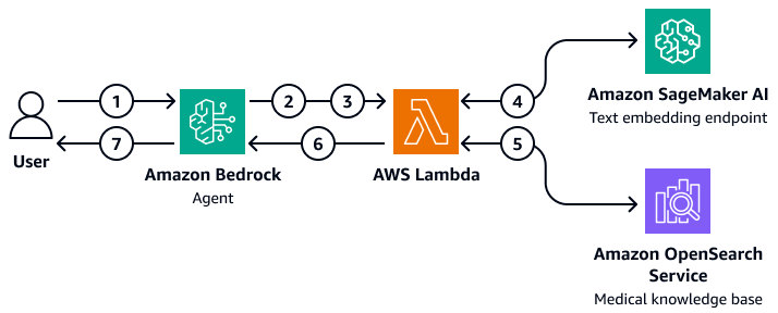 在亚马逊 OpenSearch 服务上将 Amazon Bedrock 代理与医学载体数据库集成。