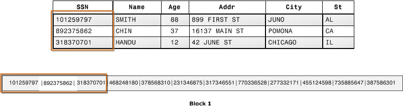 Table showing personal data with SSN, name, age, address, city, and state for three individuals.