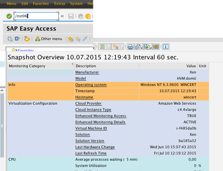SAP CCMS 中的统计数据(标准视图)
