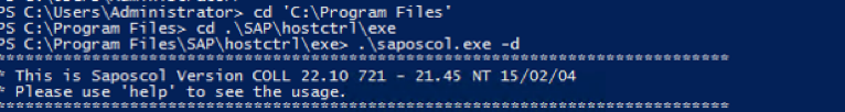 启动 SAPOSCOL