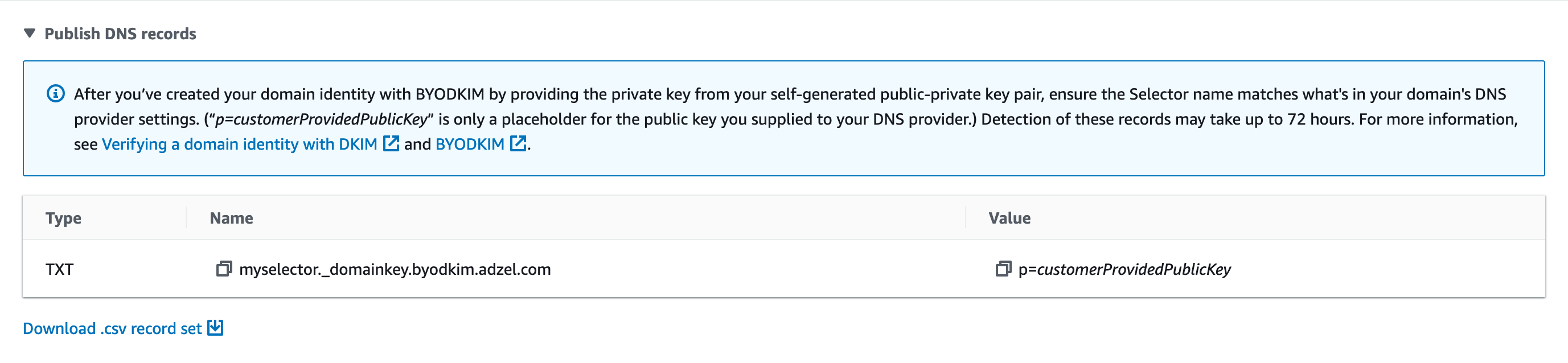
                                        身份的详细信息页的 DKIM 部分。显示了三个虚构的 CNAME 记录。
                                    