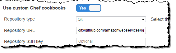 Repository configuration with Git option and URL field. (AI generated)